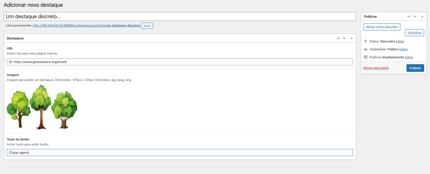 Campo criar destaque principal preenchido