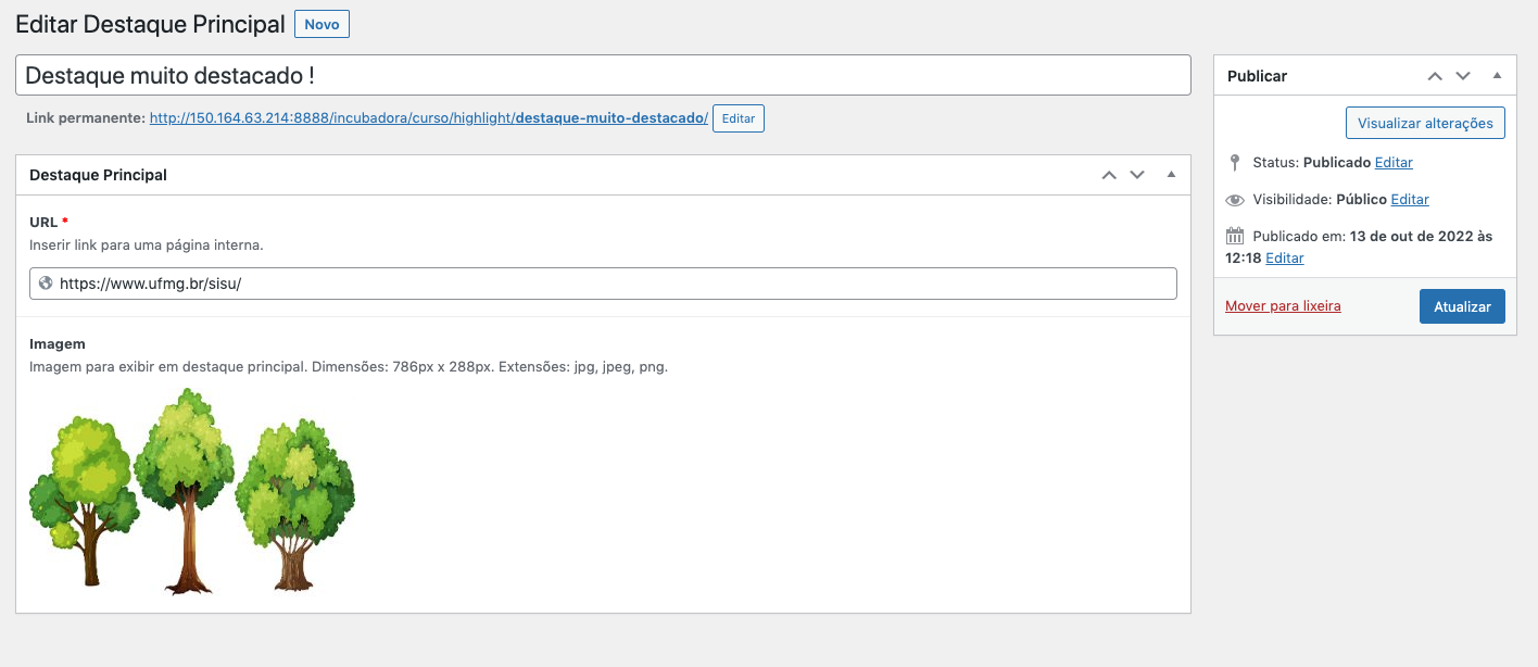 Campo criar destaque principal preenchido