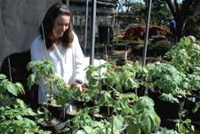 Ci&ecirc;ncias Biol&oacute;gicas