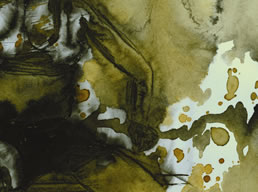 O atleta transgenico