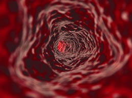 A cura esta no sangue