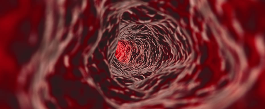 A cura est&aacute; no sangue