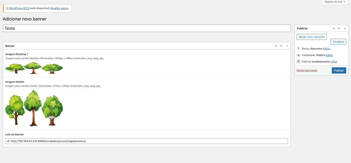Campo criar banner preenchido